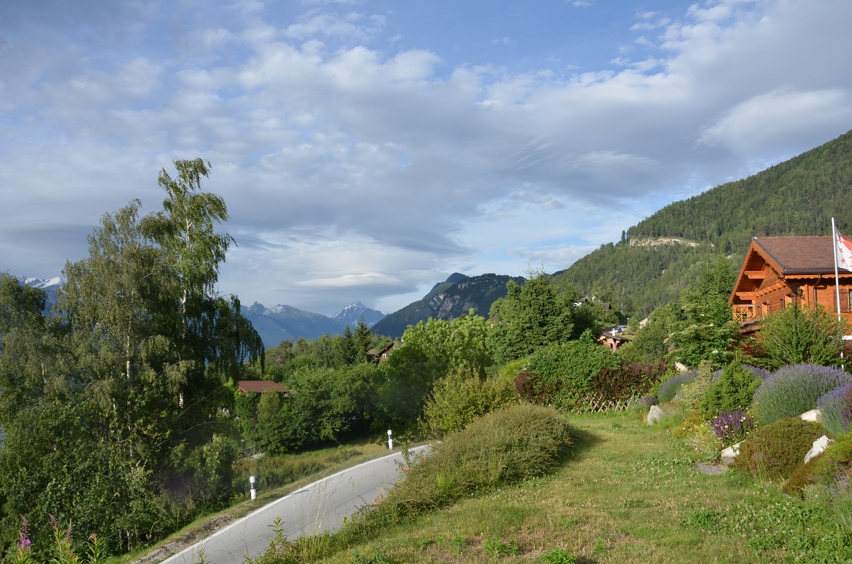   Panorama du jardin 2.JPG