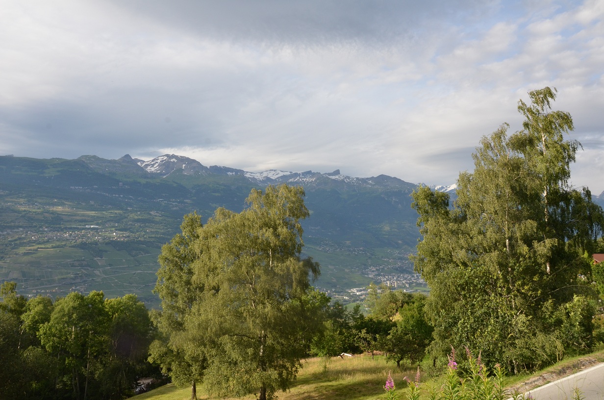   Panorama du jardin 3.JPG