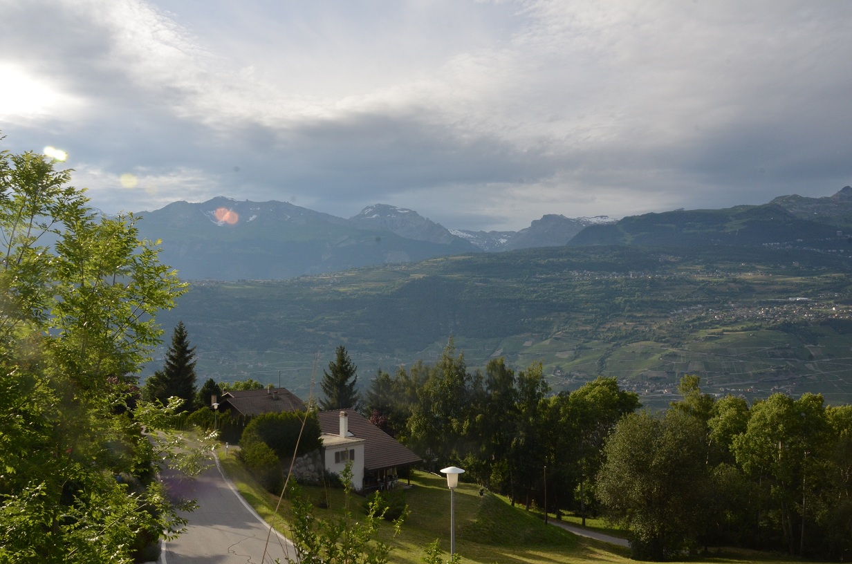   Panorama du jardin 4.JPG