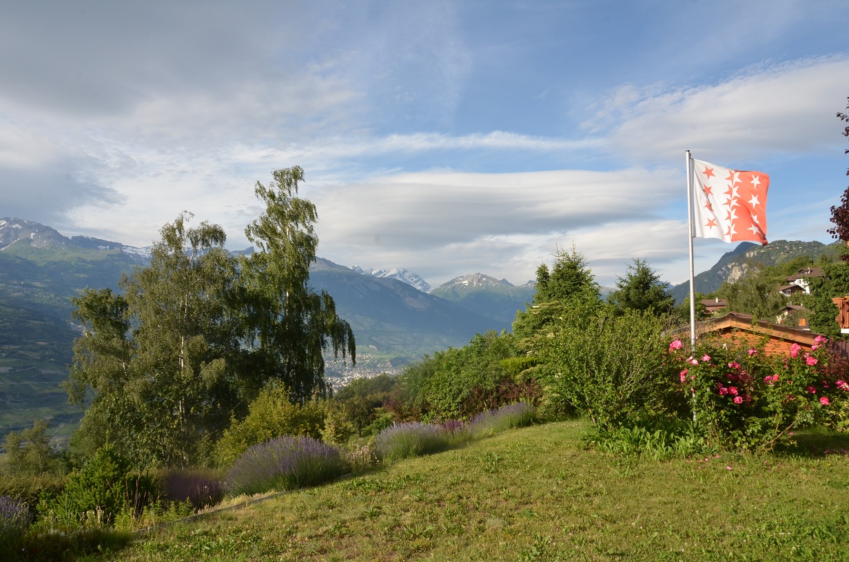   Vue du jardin.JPG